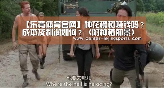 乐竟体育官网