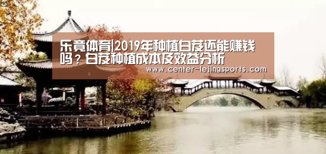 乐竟体育|2019年种植白芨还能赚钱吗?白芨种植成本及效益分析(图2) 乐竟体育