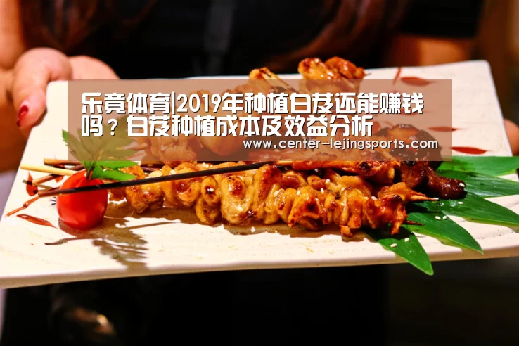 乐竟体育|2019年种植白芨还能赚钱吗?白芨种植成本及效益分析(图1) 乐竟入口