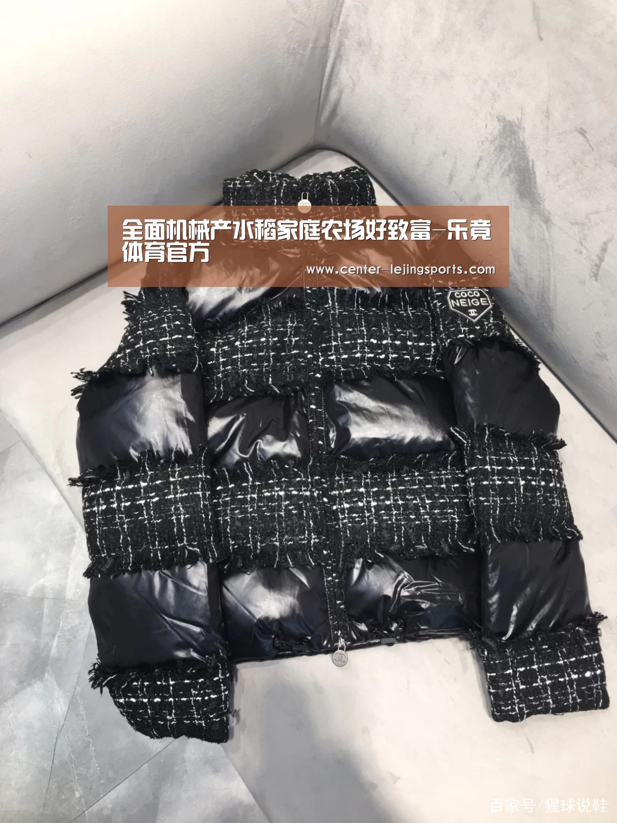 全面机械产水稻家庭农场好致富-乐竟体育官方(图3) 乐竟体育