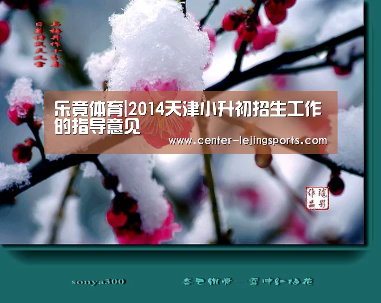 乐竟体育|2014天津小升初招生工作的指导意见(图2) 乐竟体育